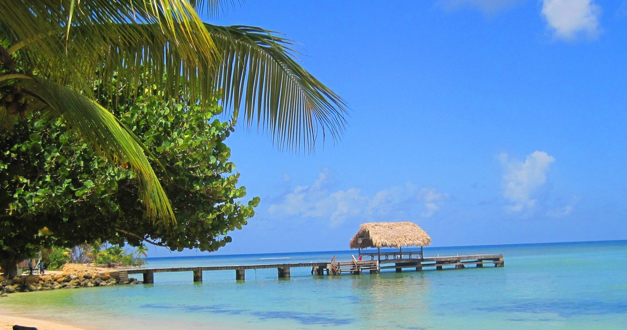 Plaża na Tobago. Tak mogły wyglądać polskie terytoria zamorskie /Wikimedia Commons /INTERIA.PL/materiały prasowe