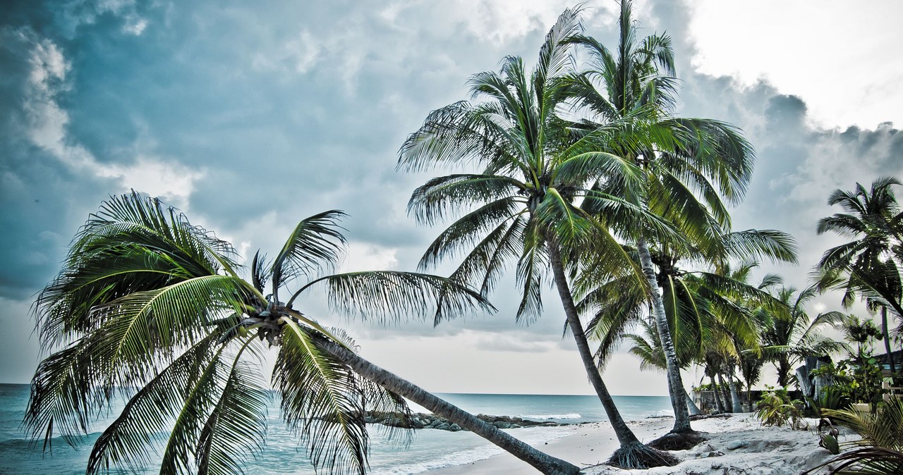 Plaża na wyspie Barbados /123/RF PICSEL