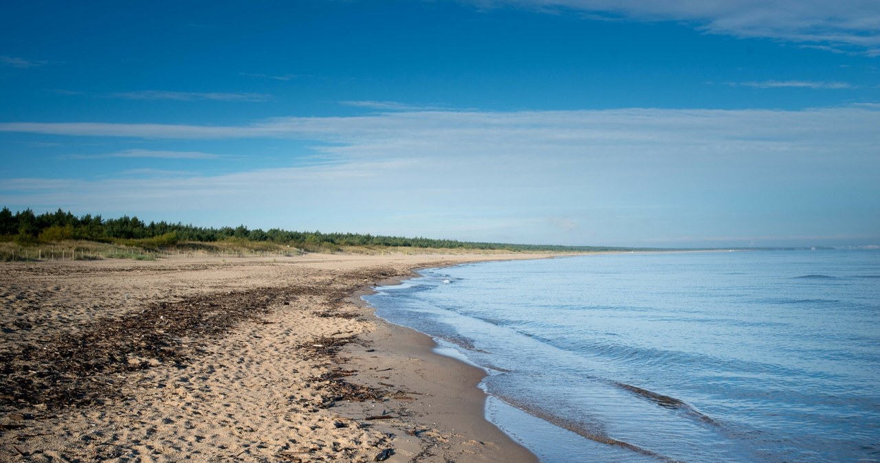 Plaża na Wyspie Sobieszewskiej to najlepsze miejsce to szukania bursztynów nad Morzem Bałtyckim. /East News