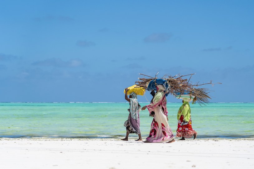 Plaża na Zanzibarze. /123RF/PICSEL