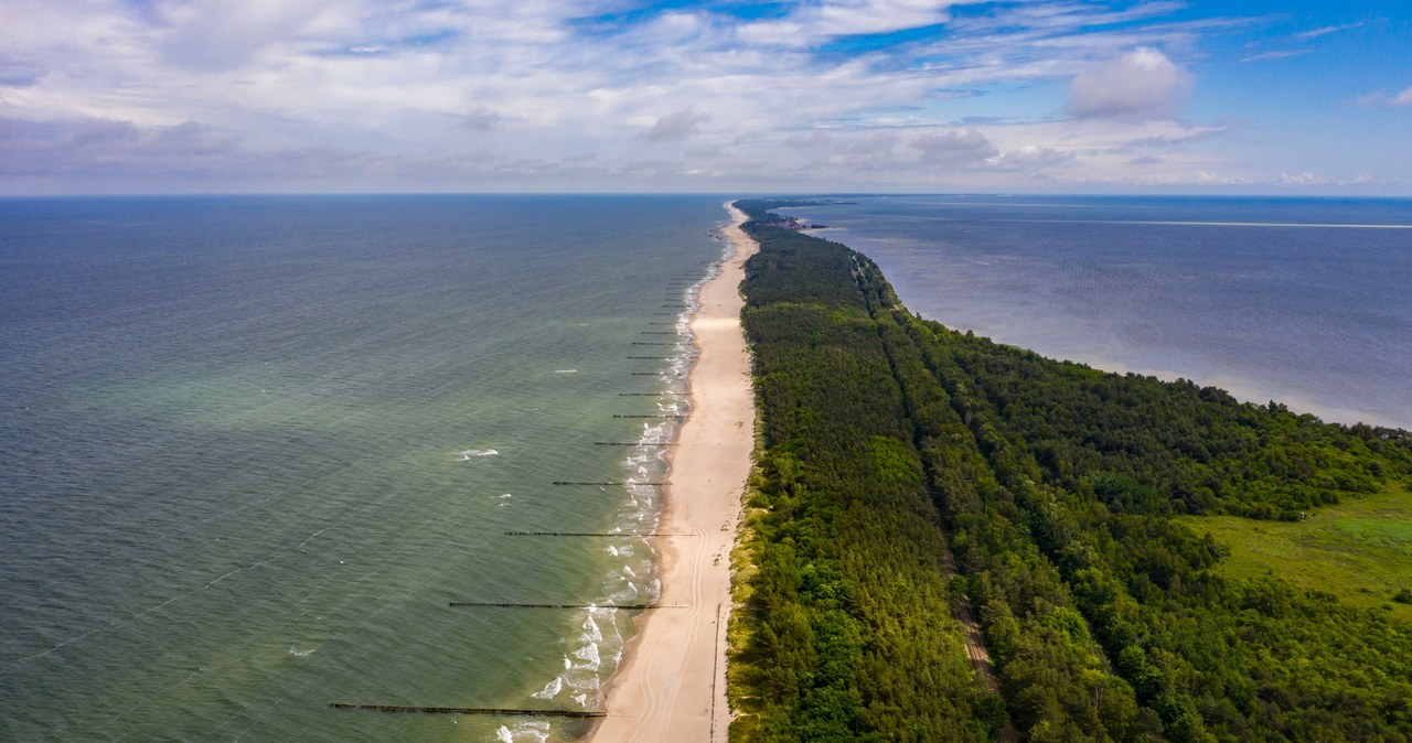 Plaża naturystów i widok na Półwysep Helski znad Chałup /Robert Neumann /Agencja FORUM