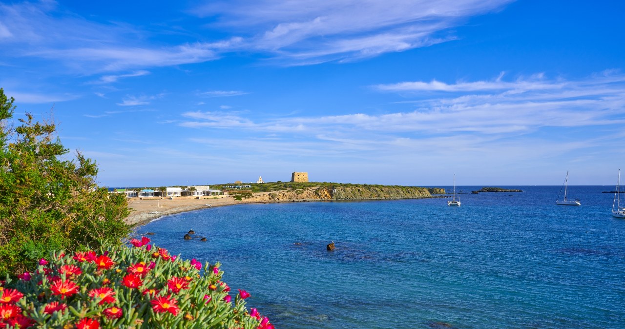 Plaża Nova Tabarca na "wyspie kotów" /tonobalaguer /Pixel