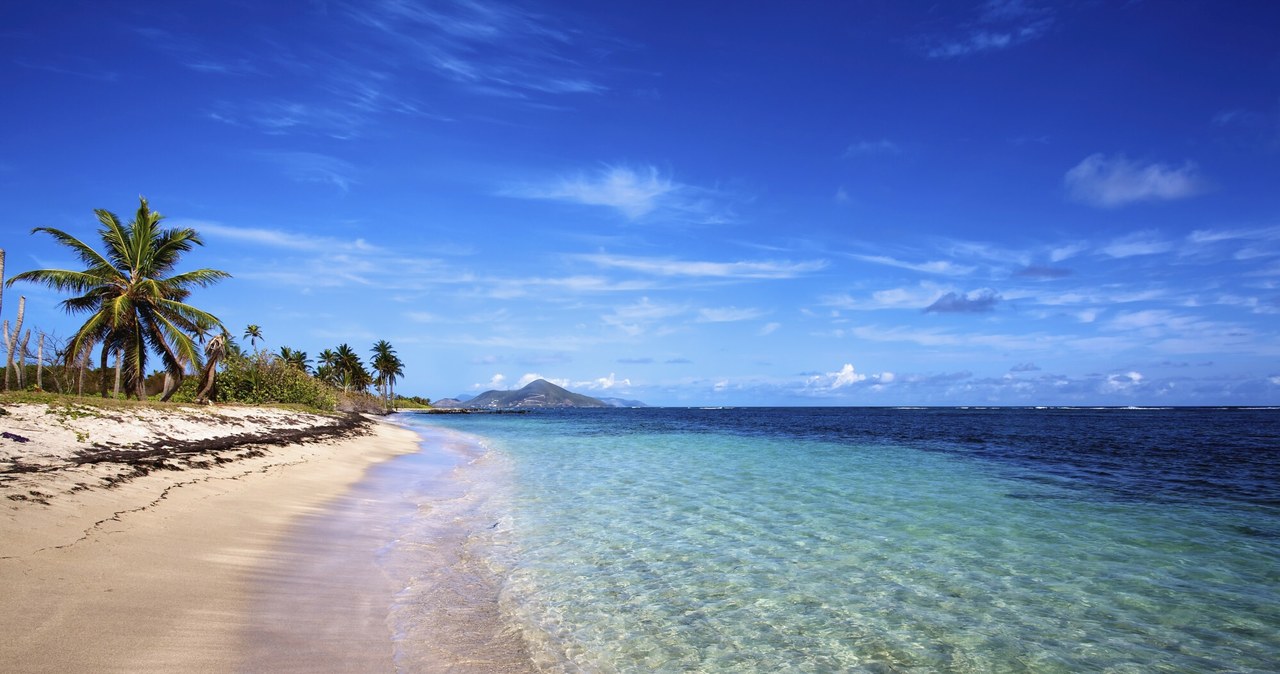 Plaża Pinney's Beach z widokiem na Morze Karaibskie w Nevis /Chris Caldicott/Design Pics/East News /East News