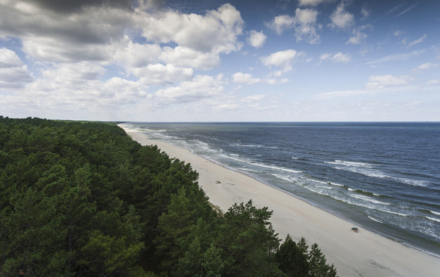 Plaża w Krynicy Morskiej /Shutterstock