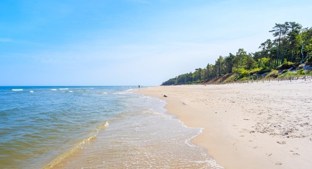 Plaża w Lubiatowie /Pawel Kazmierczak / Alamy Stock Photo /PAP