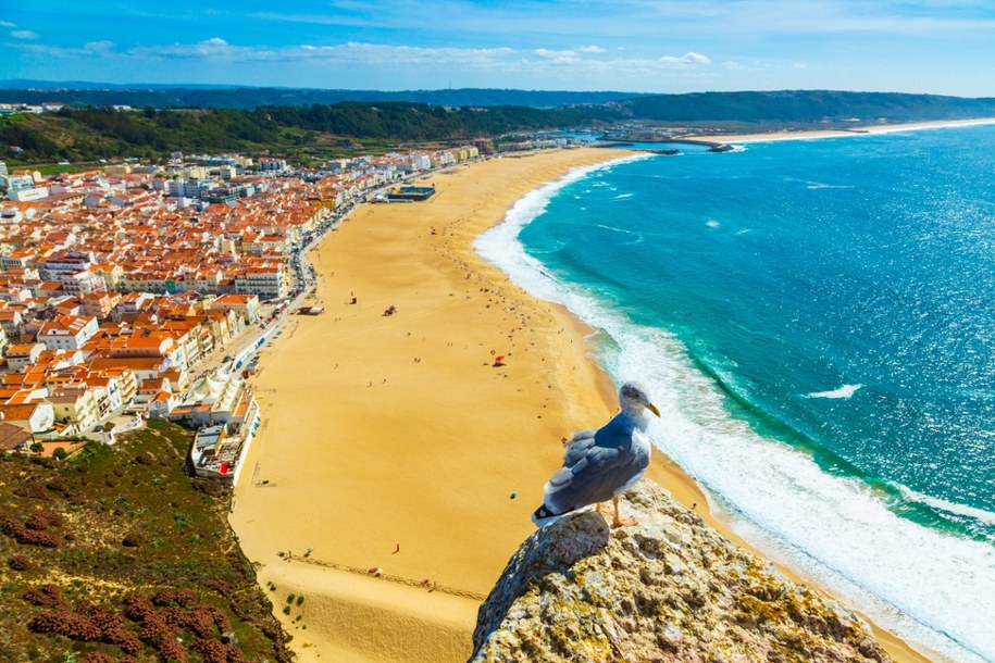 Plaża w Nazare w Portugalii ponownie została zamknięta /Shutterstock