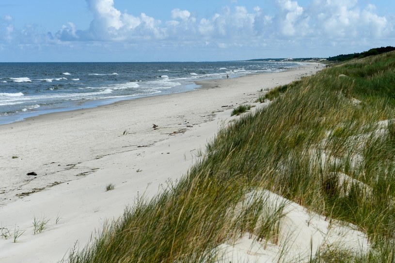 Plaża w Piaskach na Mierzei Wiślanej. Widok na granicę Polski z rosyjskim Obwodem Kaliningradzkim /Łukasz Dejnarowicz /Agencja FORUM