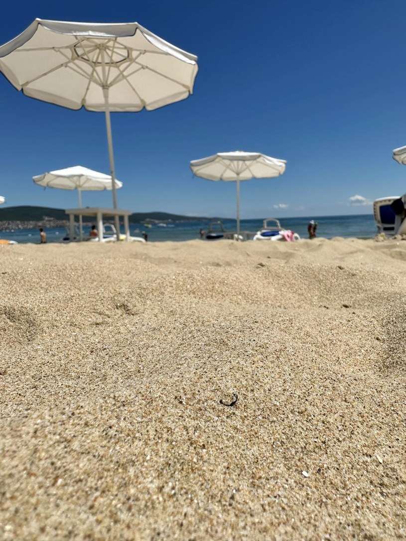 The beach at Sunny Beach is clean and well-maintained, although sunbeds and umbrellas are quite expensive / private reserve