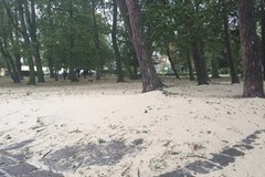 Plaża w sopockim parku