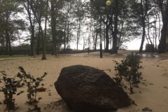 Plaża w sopockim parku