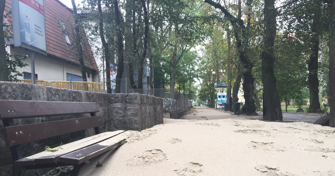 Plaża w sopockim parku