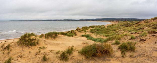 Plaża w Tylösand w Halland /Shutterstock