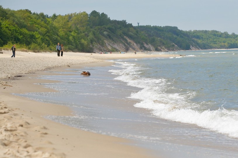 Plaża we Władysławowie jest pięknie położona, otacza ją sosnowy las, a brzeg na całej długości jest bardzo różnorodny /East News