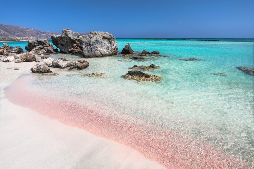 Plaża z różowym piaskiem i turkusową wodą zachwyca turystów przebywających na Krecie /123RF/PICSEL