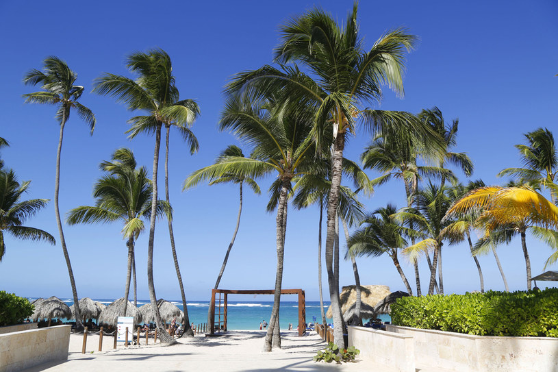 Plaże Dominikany to istny raj na Ziemi /123RF/PICSEL