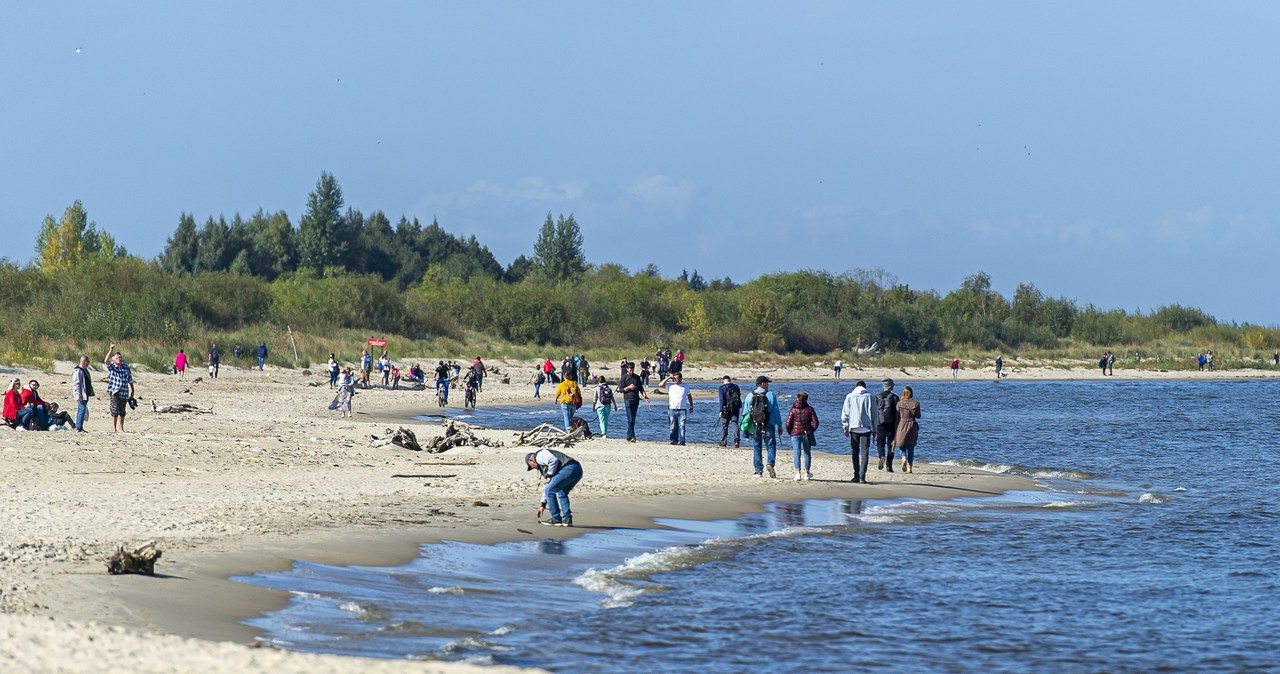 Plaże na Mierzei Wiślanej czy też Wyspa Sobieszowska to miejsca, gdzie szanse na znalezienie bursztynu są znacznie większe. /East News