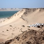 Plaże w Tunezji stopniowo zanikają