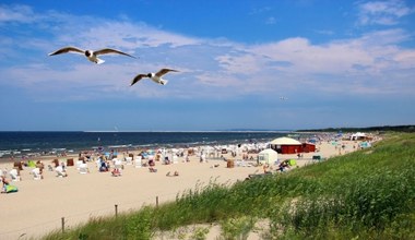 Plażowicze uwielbiają trik z korkiem. Jest bardzo przydatny nad wodą