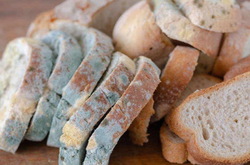 Pleśń na chlebie czy owocach zauważa się często. Jeśli się pojawi, po takie produkty już nie sięgajmy /123RF/PICSEL