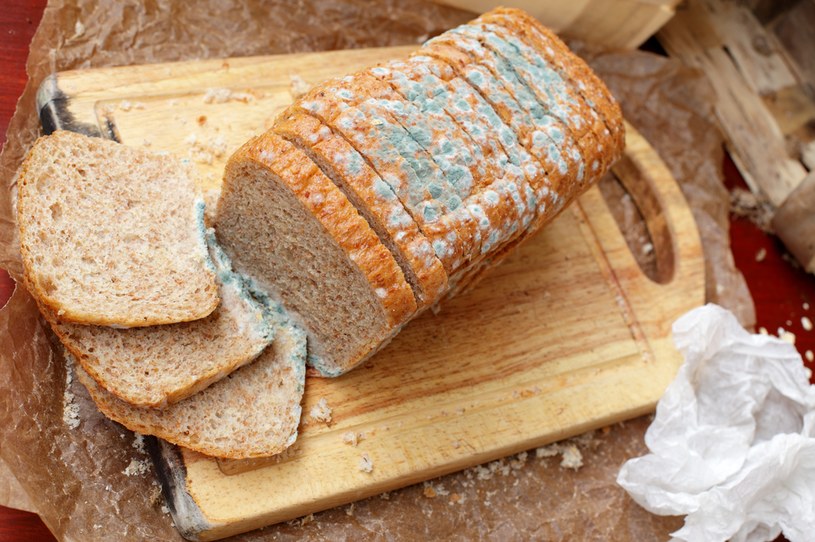 Pleśń na chlebie dla wielu z nas nie jest obcym widokiem. Skąd się bierze? /123RF/PICSEL