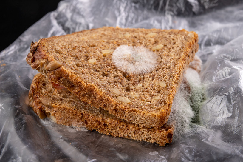 Pleśń na chlebie? Zrezygnuj z jedzenia - skutki mogą być fatalne /123RF/PICSEL