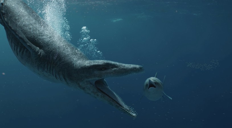 Pliozaury to rodzina gadów morskich żyjących w okresie od jury do późnej kredy. Charakteryzowały się krótką szyją i masywnym ciałem. Największe znane gatunki osiągały nawet 12 metrów długości. Skamieliny tych zwierząt znaleziono także w Polsce