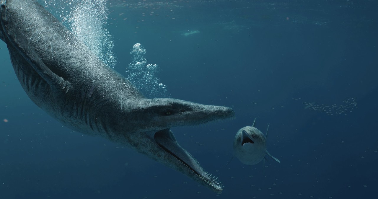 Pliozaury to rodzina gadów morskich żyjących w okresie od jury do późnej kredy. Charakteryzowały się krótką szyją i masywnym ciałem. Największe znane gatunki osiągały nawet 12 metrów długości. Skamieliny tych zwierząt znaleziono także w Polsce
