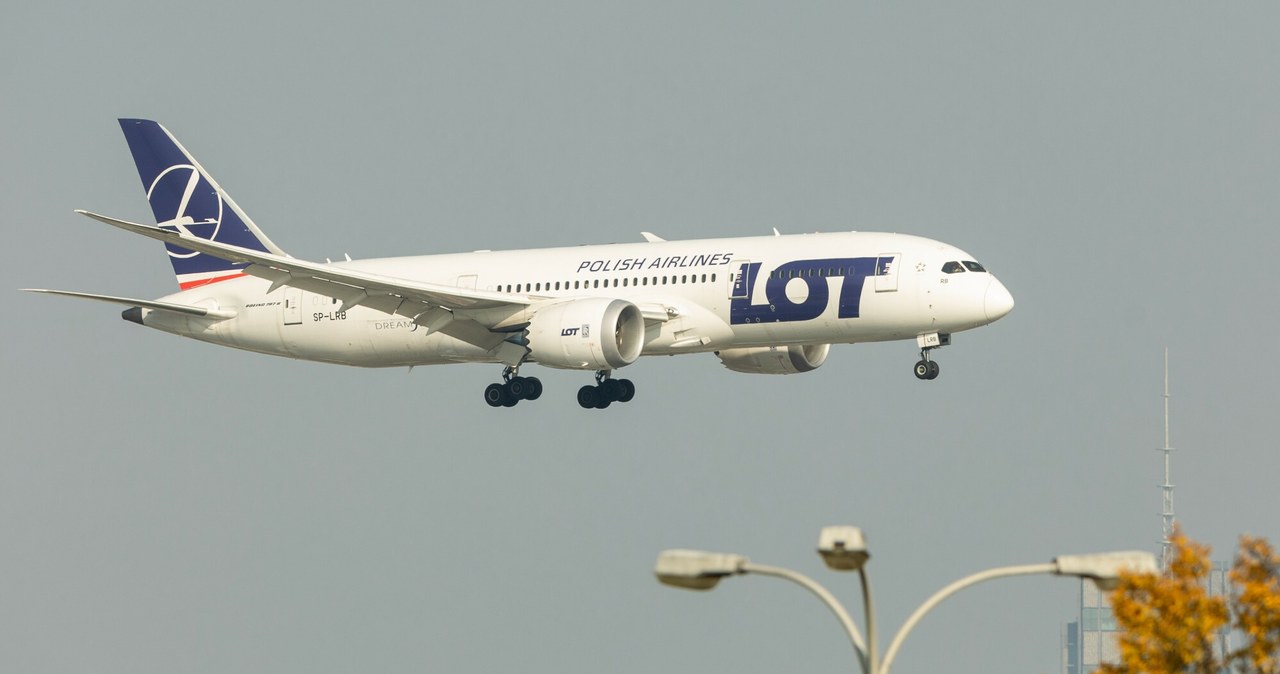 PLL LOT Boeing 787-8 Dreamliner. /Foto Olimpik/REPORTER /East News