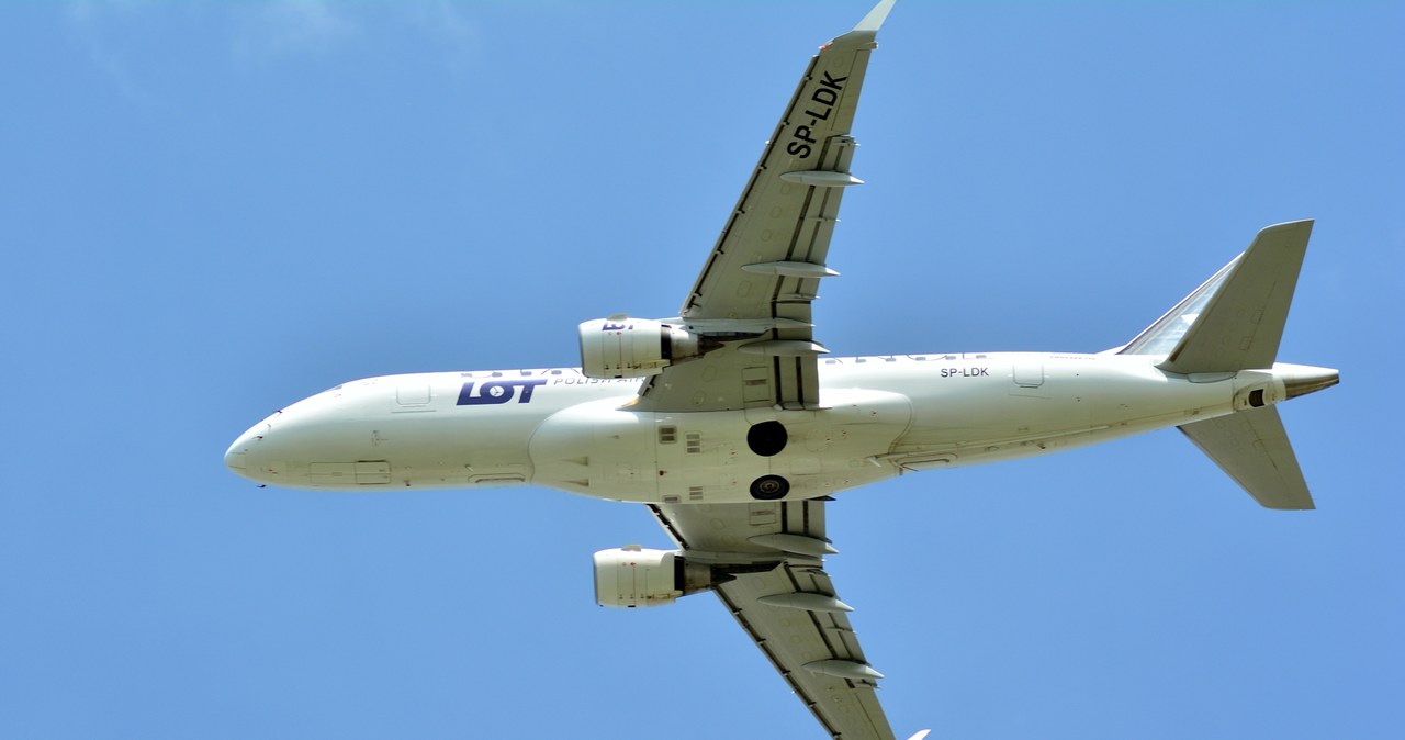 PLL LOT odwołują loty do Tel-Awiwu. Zdj. ilustracyjne /123RF/PICSEL