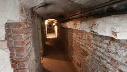 Płock: Podczas prac archeologicznych znaleziono szczątki trzech osób