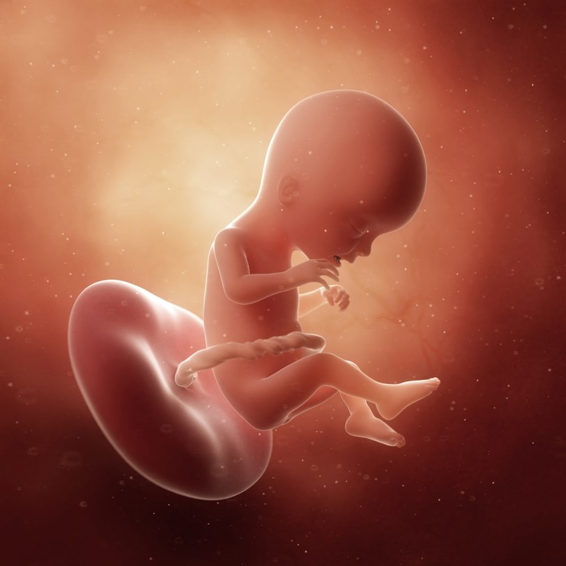 Płód podczas 17 tygodnia ciąży odbiera bodźce z zewnątrz i niekiedy daje znać o swojej obecności /123RF/PICSEL