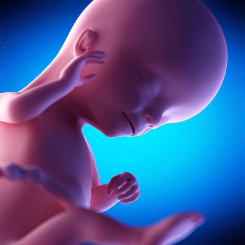 Płód w 16. tygodniu ciąży odbiera coraz więcej bodźców ze świata zewnętrznego. Niektóre mogą go wręcz ... przestraszyć /123RF/PICSEL