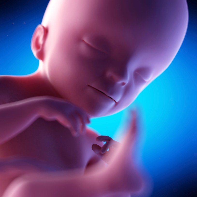 Płód w 21. tygodniu ciąży ma już takie proporcje ciała jak noworodek /123RF/PICSEL