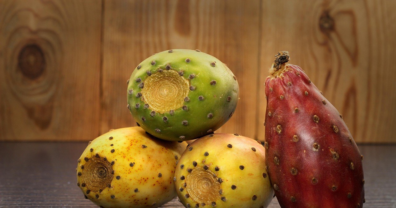 Плоди опунції містять багато вітамінів та мінералів, але головна "родзинка" - унікальні волокна та слизові речовини, які м’яко очищають організм