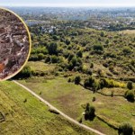 Płoną Górki Czechowskie. To unikalne siedlisko rzadkiego polskiego ssaka