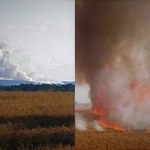 Płoną hektary zboża w Lubuskiem. W akcji samolot gaśniczy
