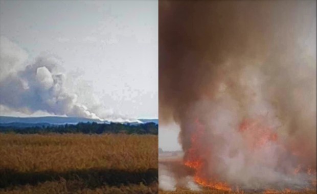 Płoną hektary zboża w Lubuskiem. W akcji samolot gaśniczy