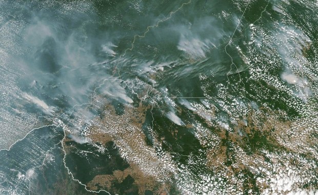 Płoną lasy Amazonii. Dym widać nawet z kosmosu
