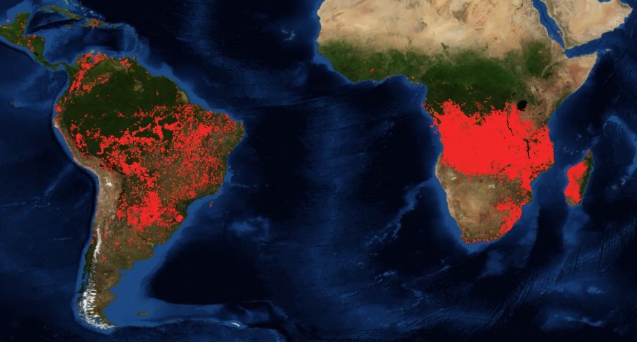 Płoną lasy Południowej Afryki /NASA /