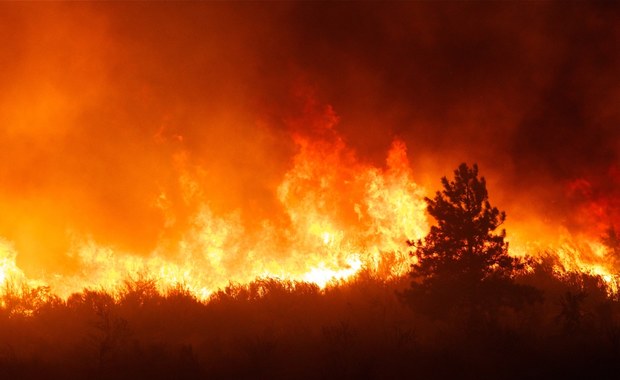 Płoną lasy w Hiszpanii. Trwa ewakuacja mieszkańców 