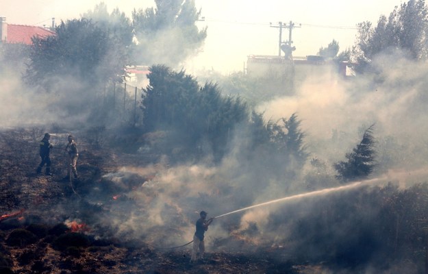 Płoną lasy w okolicach Aten /SIMELA PANTZARTZI  /PAP/EPA