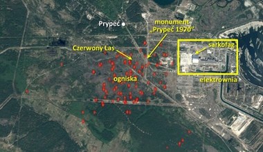 Płoną lasy zaledwie kilkaset metrów od Czarnobylskiej Elektrowni Jądrowej
