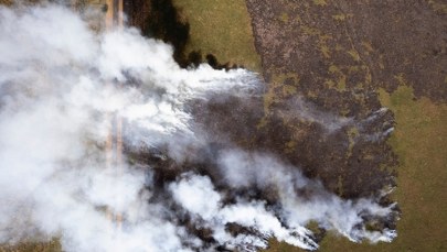 Płoną największe mokradła w Europie. Mińsk wysyła do akcji superciężki Mi-26