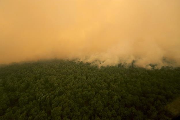 Płonące lasy na południowej Sumatrze w Indonezji /EPA