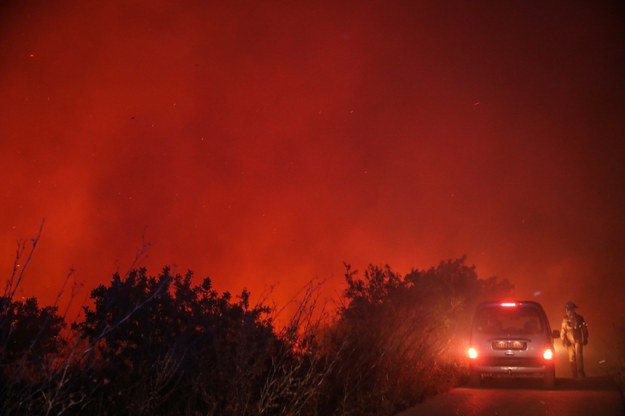 Płonące lasy w Portugalii /MIGUEL A. LOPES /PAP/EPA