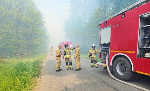 Płonął las koło Kielc. 16 zastępów i dwa samoloty w akcji