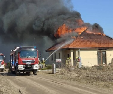 Płonęły domy, hala i urząd. Kilka groźnych pożarów w krótkim czasie