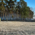 ​Płonie 50 hektarów zboża. Z ogniem walczy kilkanaście zastępów straży
