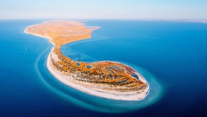 Płonie Dżarłygacz. Jak wojna unicestwia ukraińską przyrodę