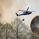 Płonie siedlisko jednego z najwspanialszych ptaków Polski. Może przepaść